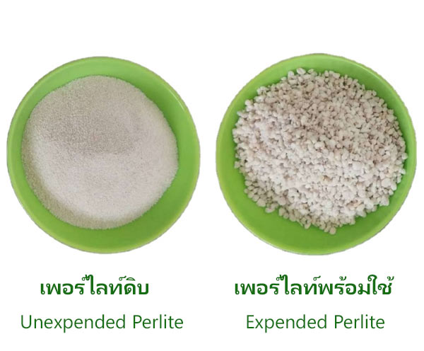 เพอร์ไลท์ดิบ VS เพอร์ไลท์พร้อมใช้ รูป เพอร์ไลท์ดิบ VS เพอร์ไลท์พร้อมใช้